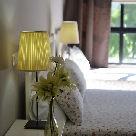 Md Modern - Jardines 발렌시아