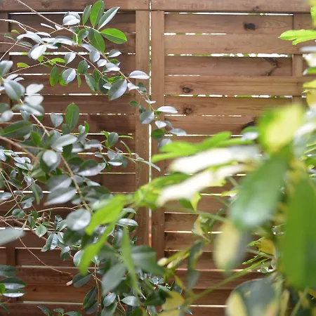 Hotel Md Modern - Jardines Valencia