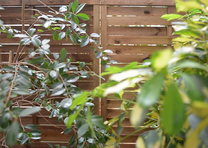 Ξενοδοχείο Md Modern - Jardines Βαλένθια